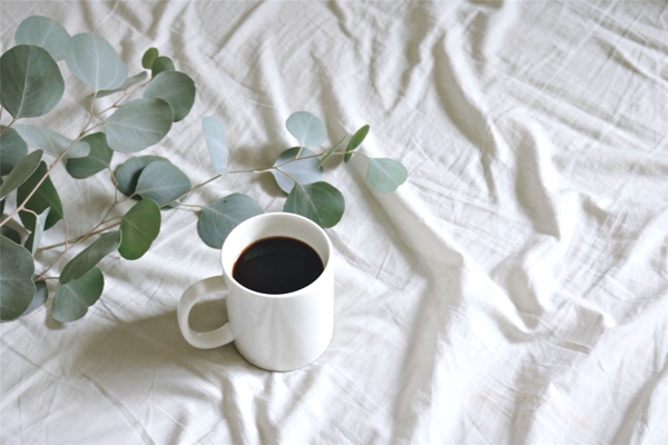 白色褶皱桌布上的咖啡盆栽
