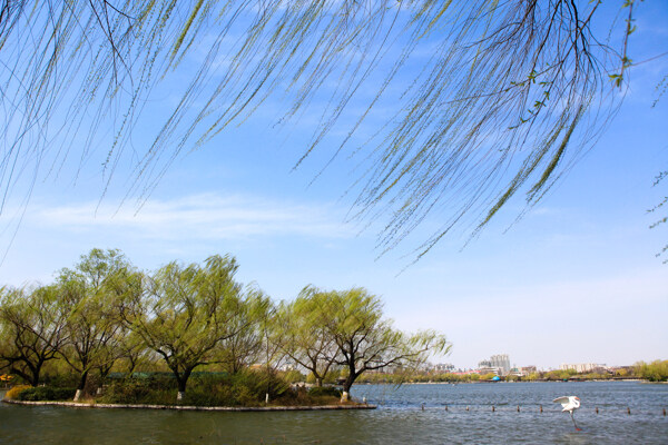 湖边风光摄影图片
