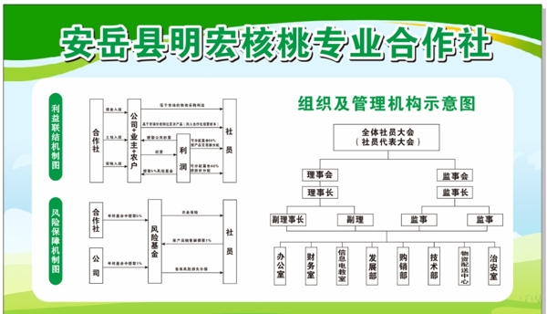 专业合作社制度流程表