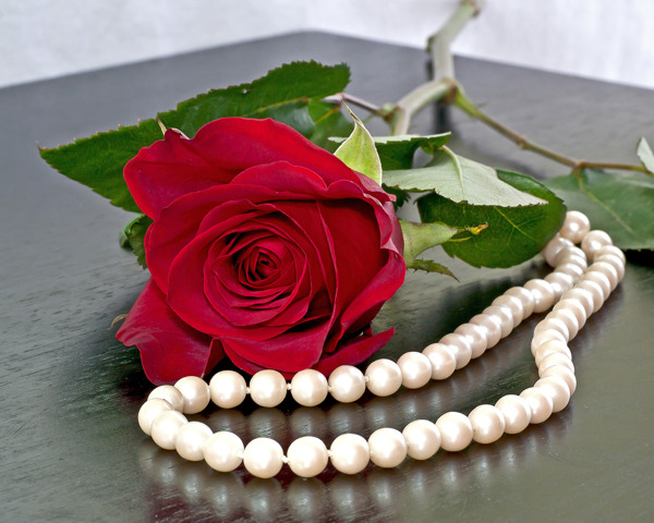 爱的玫瑰和珍珠