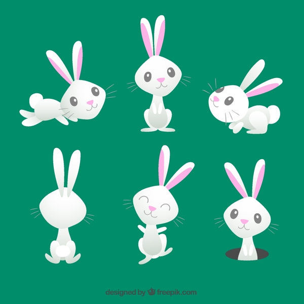 6款卡通白色兔子