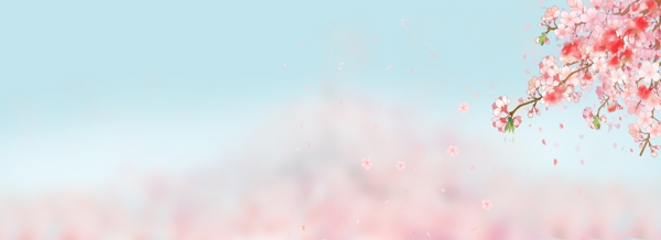 春季手绘樱花唯美banner