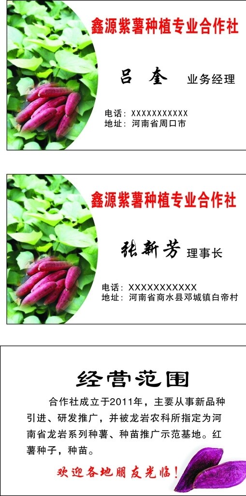 紫薯种植专业合作社