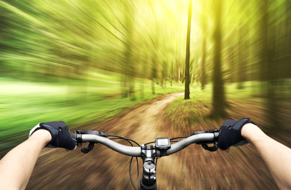 树林里骑自行车图片