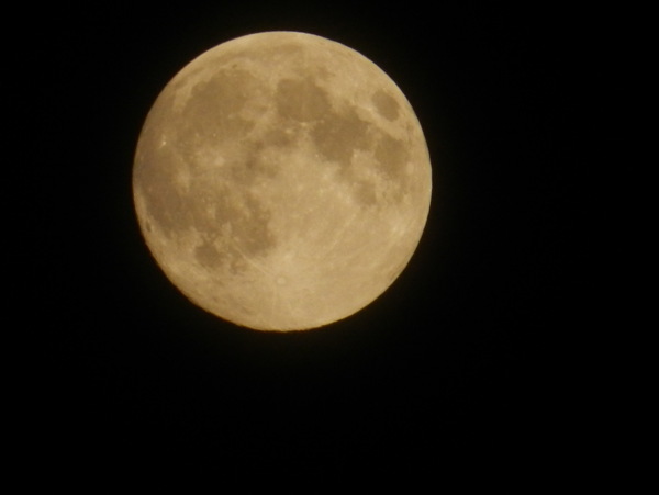 十五的月亮高清图片