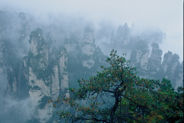 张家界峰林风景图片