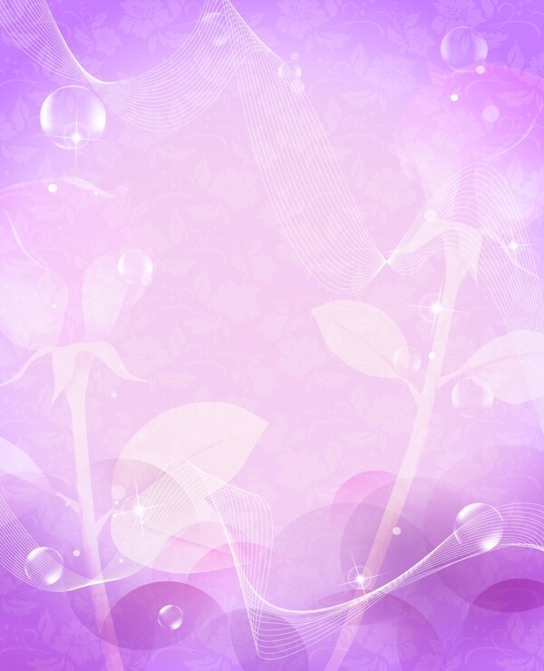 紫色梦幻玫瑰图片
