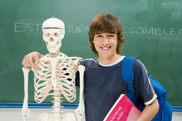 手扶骨骼架的学生图片图片