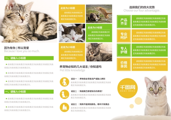 可爱猫咪橙绿色宠物店三折页模板