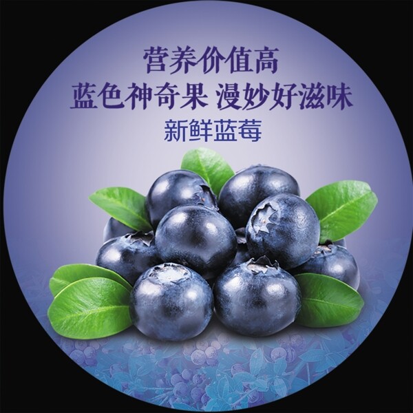 蓝莓水果不干胶