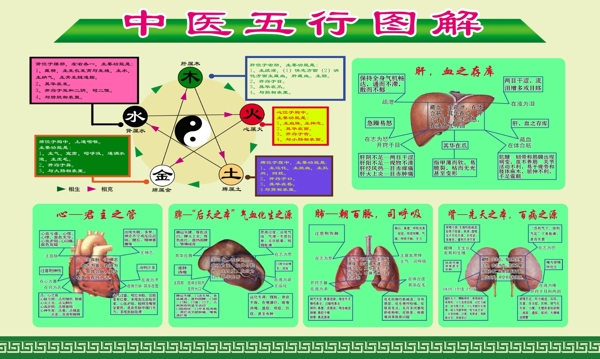 中医五行图片