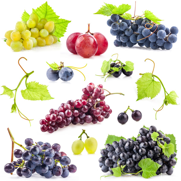 各种品种的葡萄图片