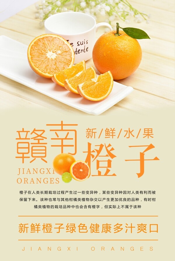 赣南橙子海报设计