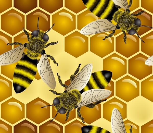 蜜蜂素材