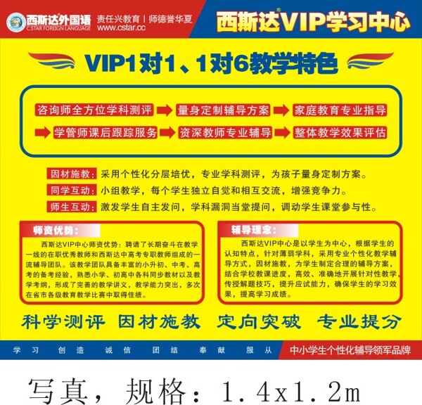 VIP教学特色