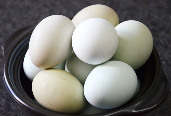 鸡蛋七彩山鸡蛋