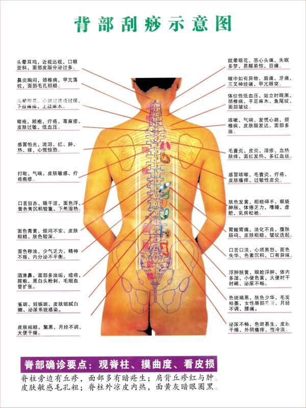 背部刮痧图片