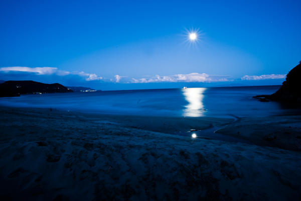 海上夜景图片