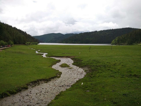 山水草地