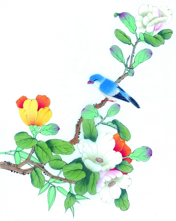 花卉上的小鸟图片