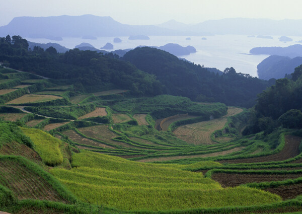 风景