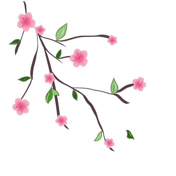盛开的樱花花儿插画