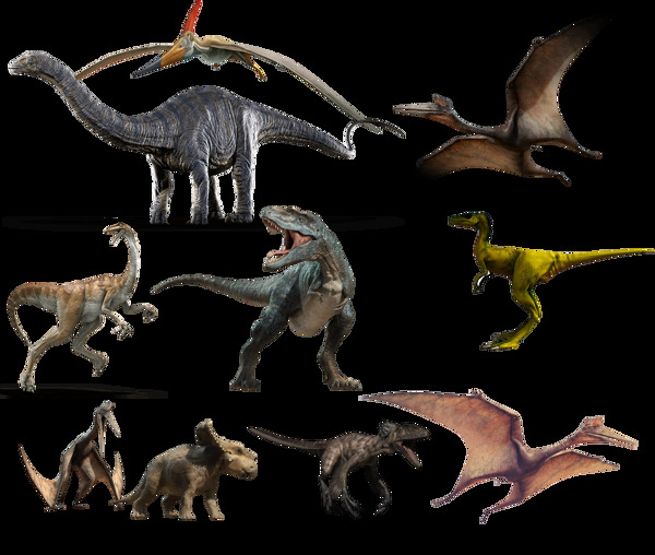 各种种类的恐龙透明素材装饰