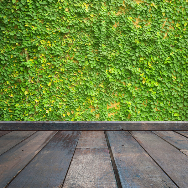 空间木纹地板绿草墙面背景底纹