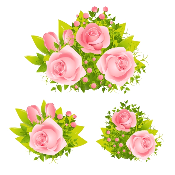 精美粉色玫瑰花