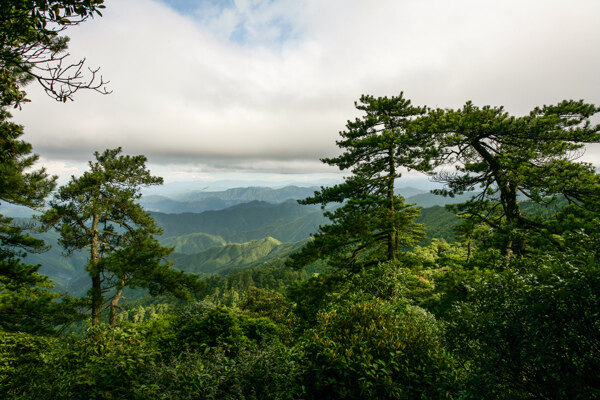 井岗山笔架山图片