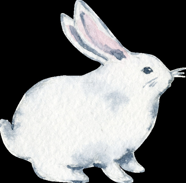 水彩动物兔子
