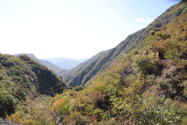 高山