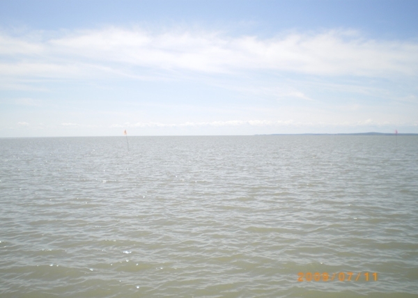 达赉湖图片