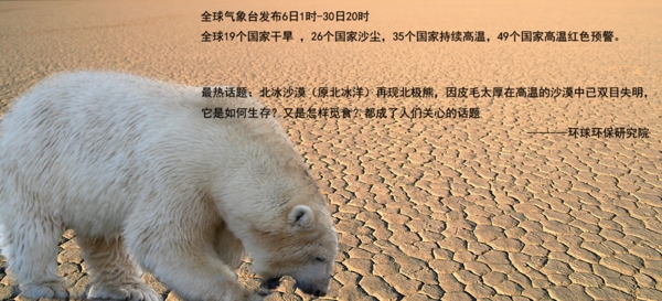 南极大熊猫图片