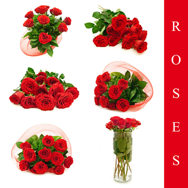 各种红玫瑰花束图片