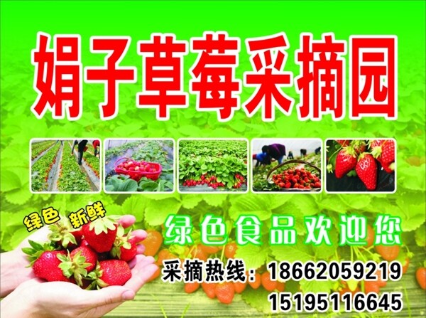 草莓采摘园海报图片