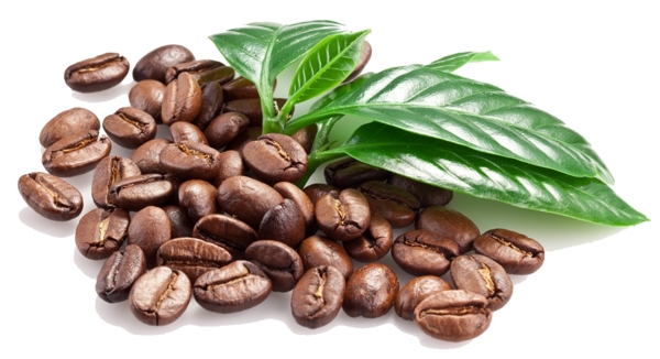 高清褐色咖啡豆免抠psd透明素材