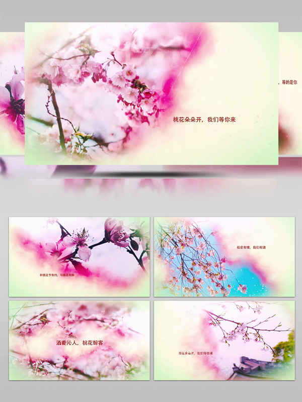 粉色浪漫桃花节樱花节图文宣传片头ae模板