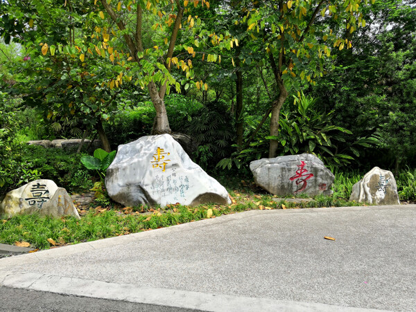 寿文化石刻