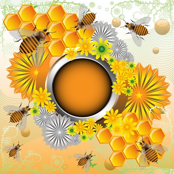 蜂蜜背景矢量图片