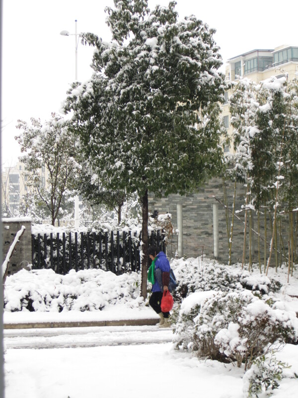 风雪归人图片