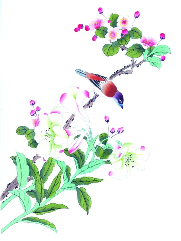 水墨鸟类植物绘画图片
