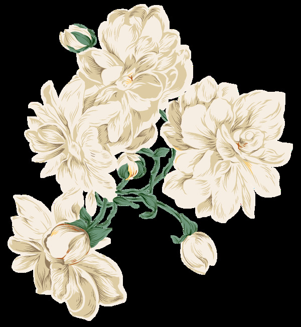 唯美白色花朵装饰元素