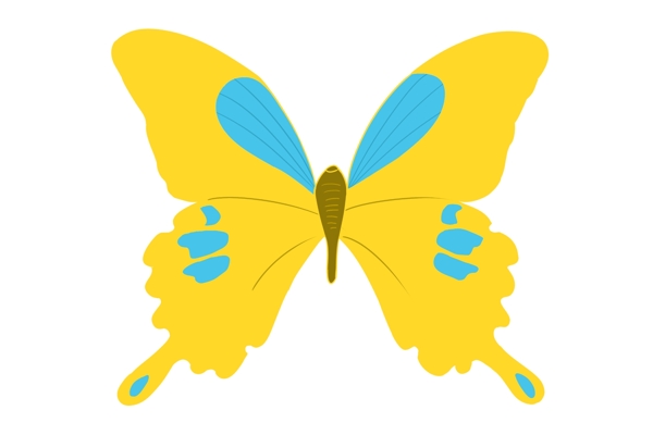 黄色蝴蝶动物插画