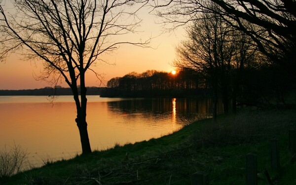 夕阳下湖水和树风景图片