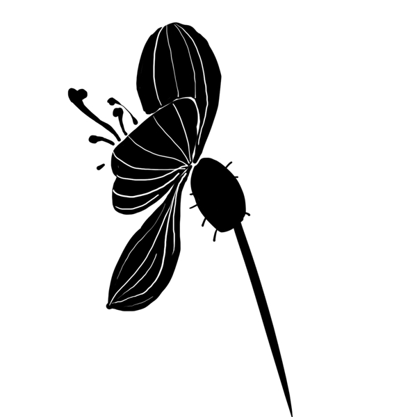 创意黑色花朵插图