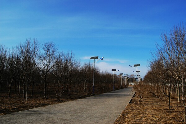 太阳能路灯图片
