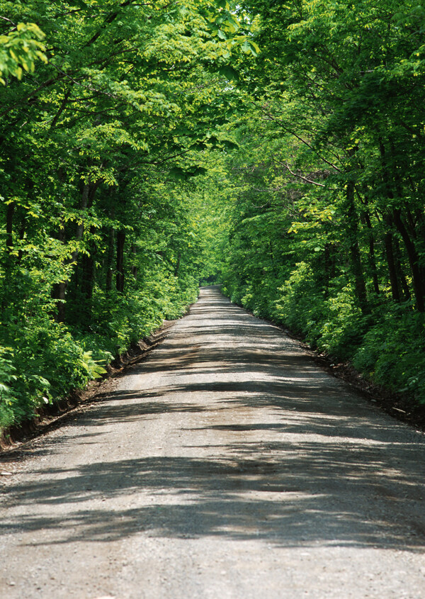 公路道路