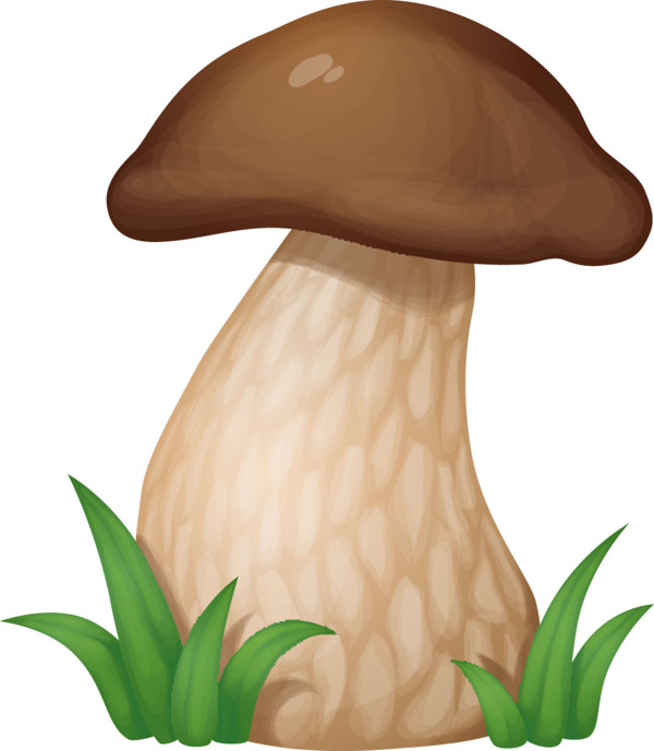 卡通蘑菇设计矢量素材