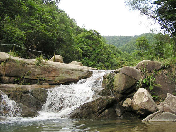 树植物水风景